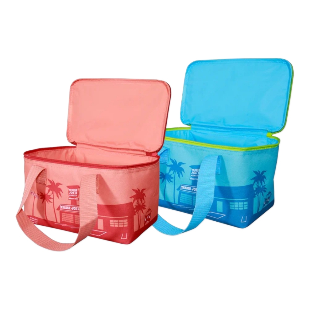 Trader Joe's Mini Insulated Tote Bag - Blue/Green